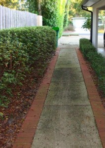 sidewalk1b