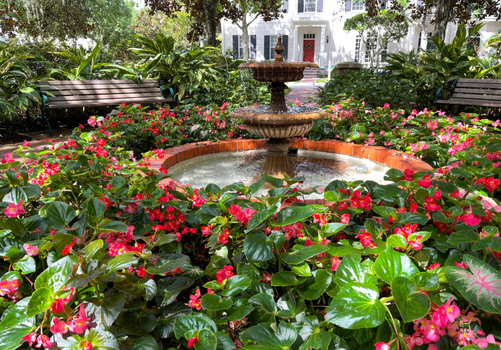 Flowers surround fountain in neighborhood